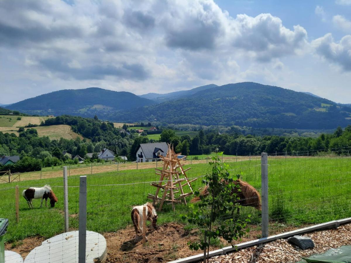 Domki- Limanowa, Z Balia I Sauna Holiday home *