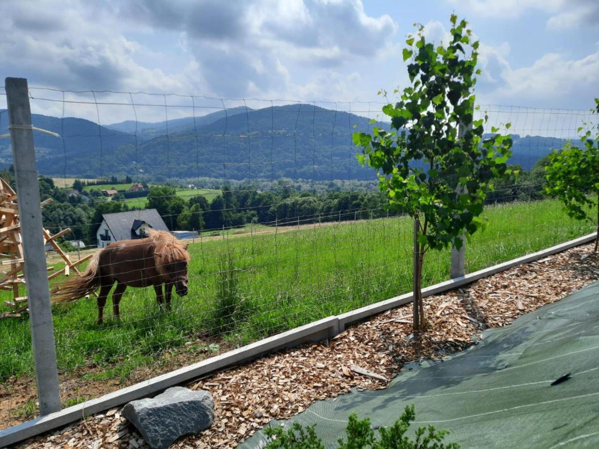 Domki- Limanowa, Z Balia I Sauna Limanowa