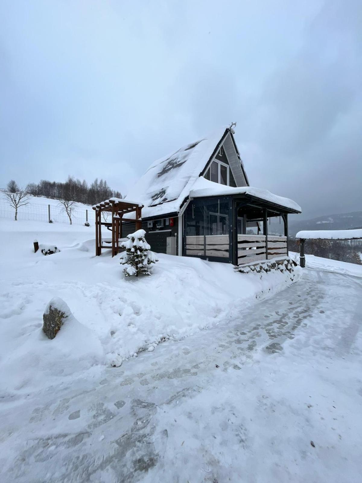 Holiday home Domki- Limanowa, Z Balia I Sauna *